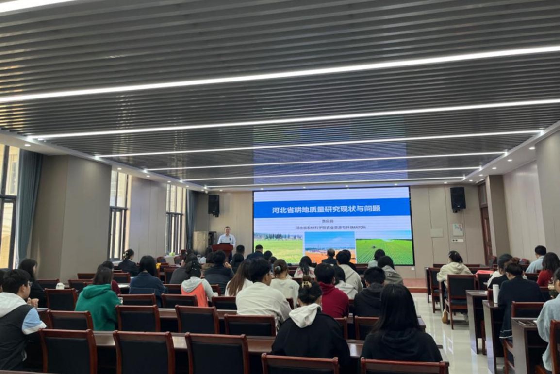 ���ֶ���������