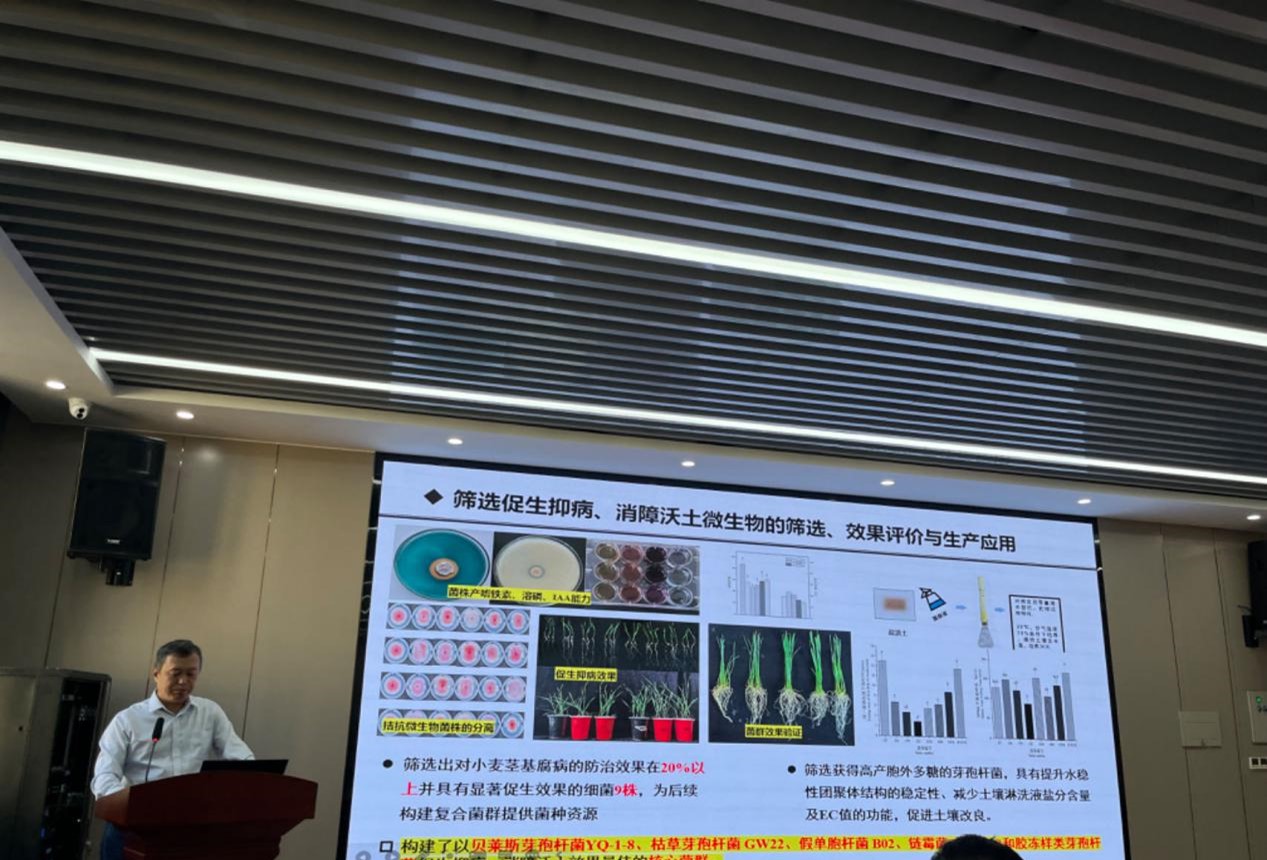 ���ֶ���������