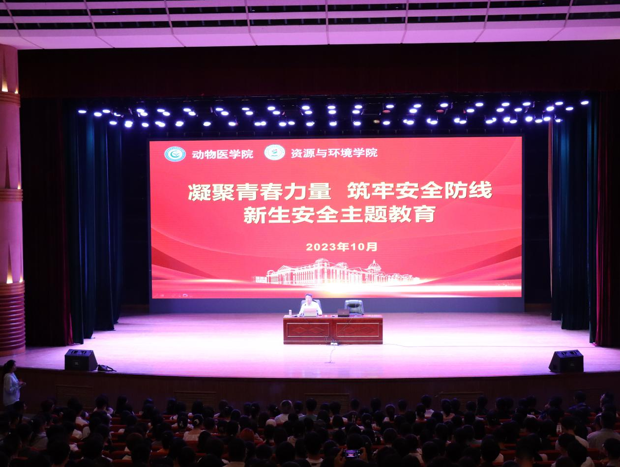 ���ֶ���������