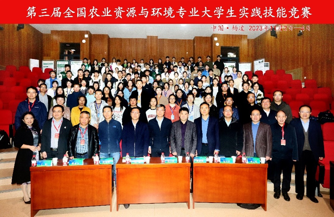 ���ֶ���������