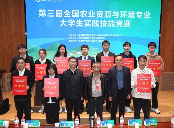 ���ֶ���������