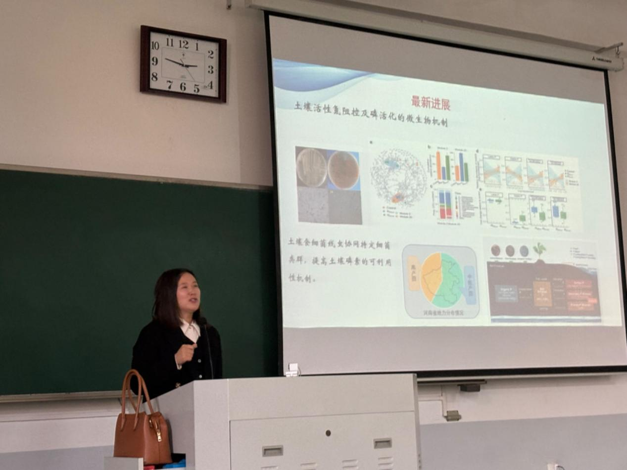 ���ֶ���������