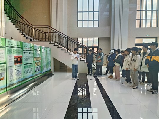 ���ֶ���������