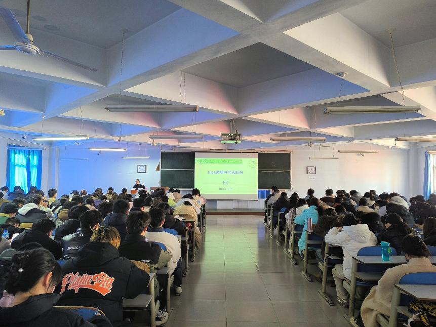 ���ֶ���������