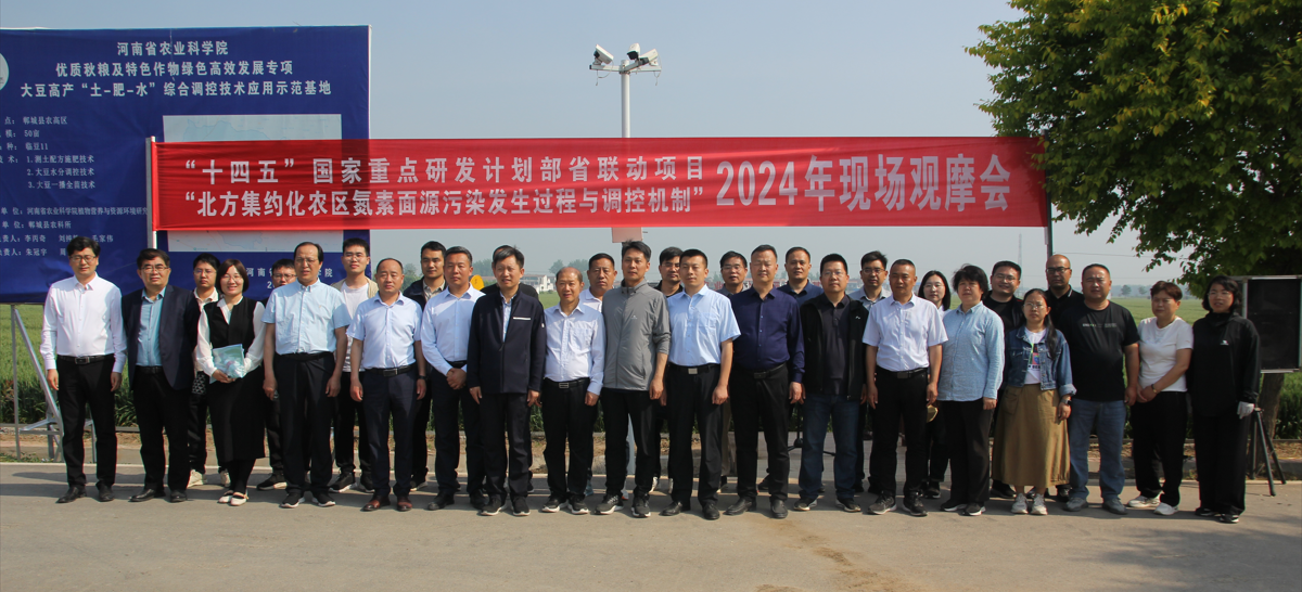 ���ֶ���������