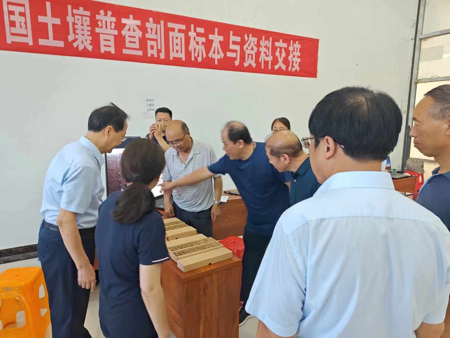 ���ֶ���������