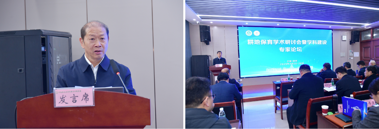 ���ֶ���������