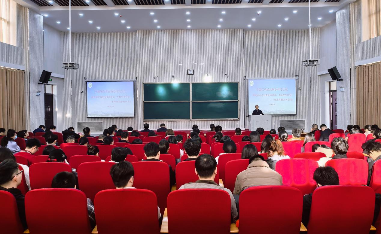 ���ֶ���������