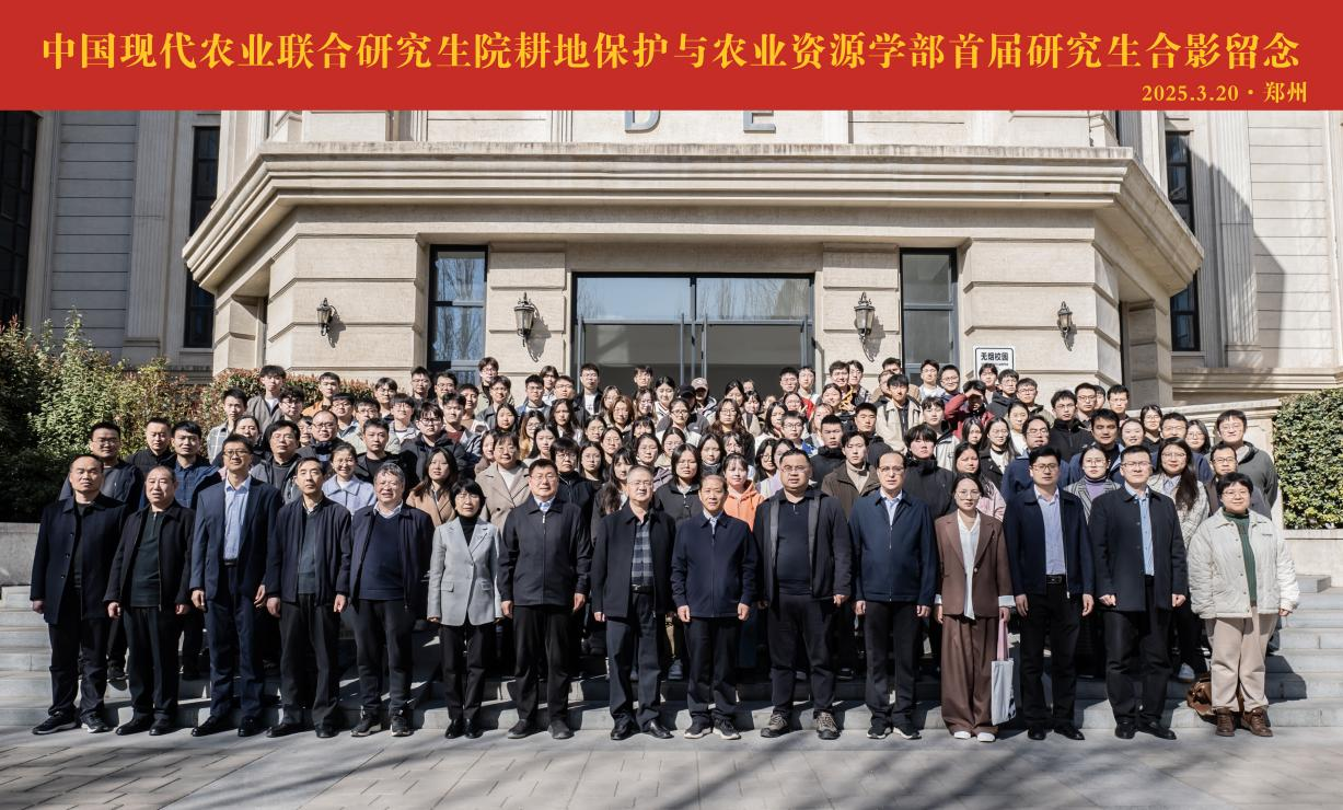 ���ֶ���������