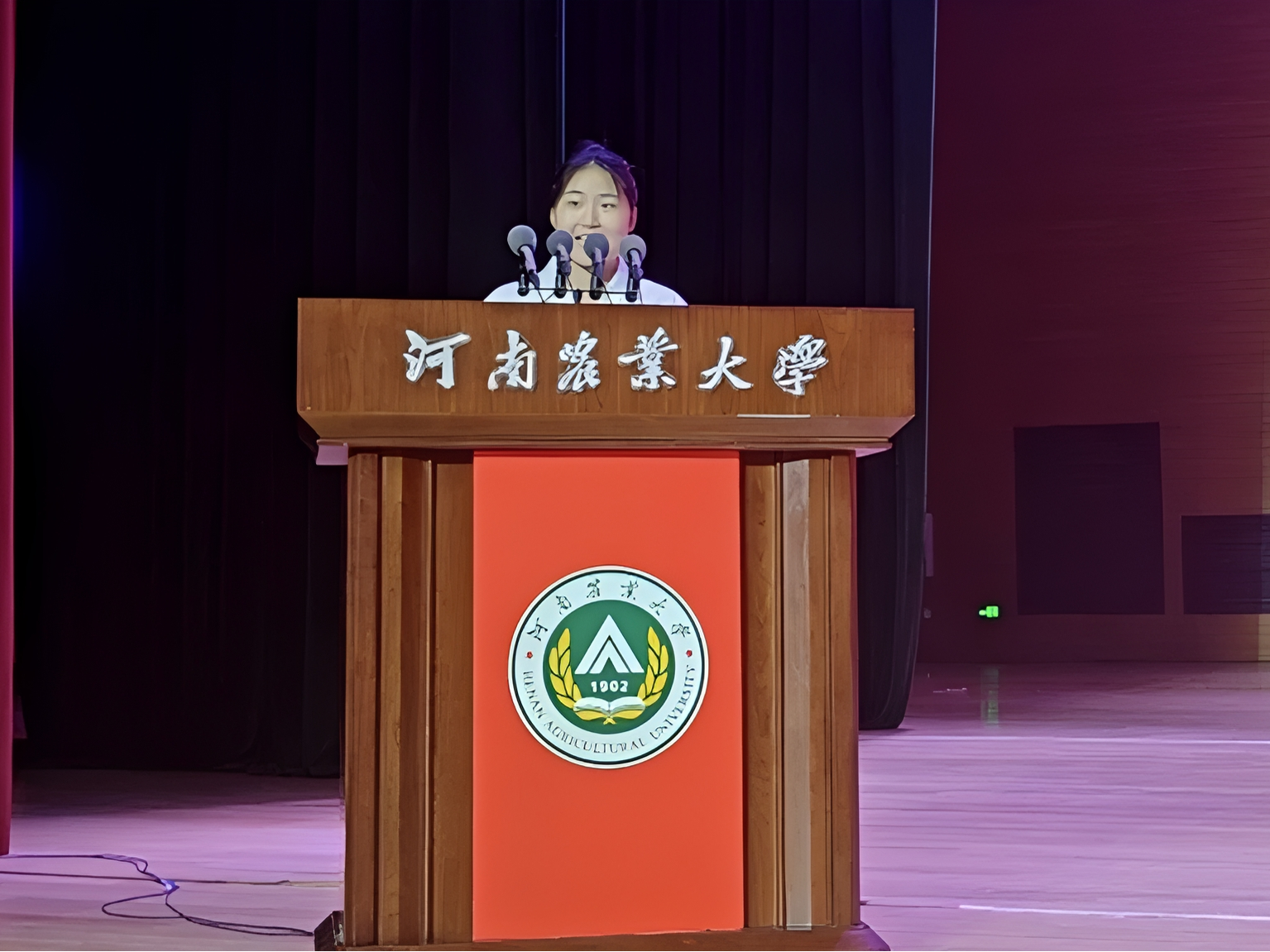 ���ֶ���������