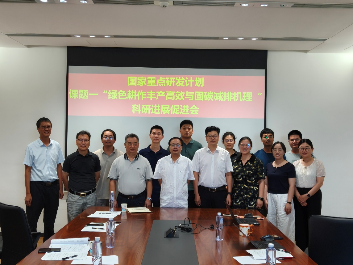 ���ֶ���������