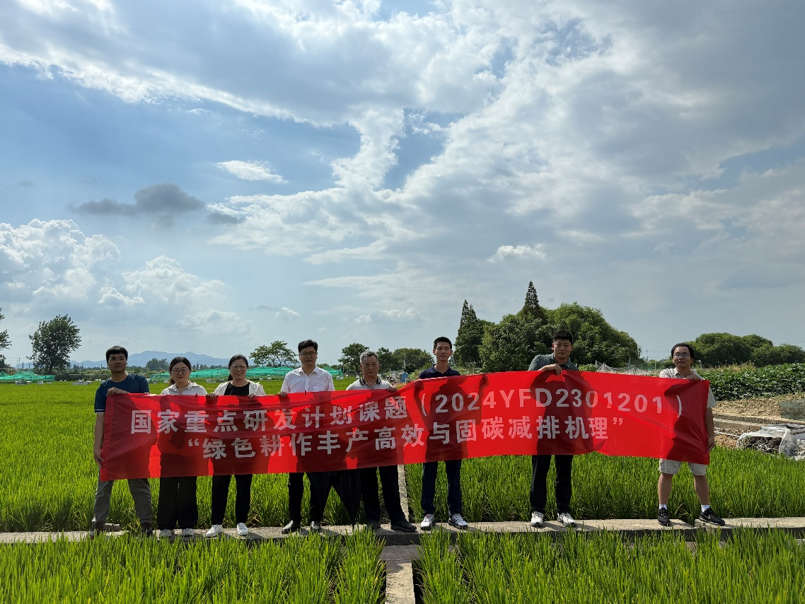 ���ֶ���������