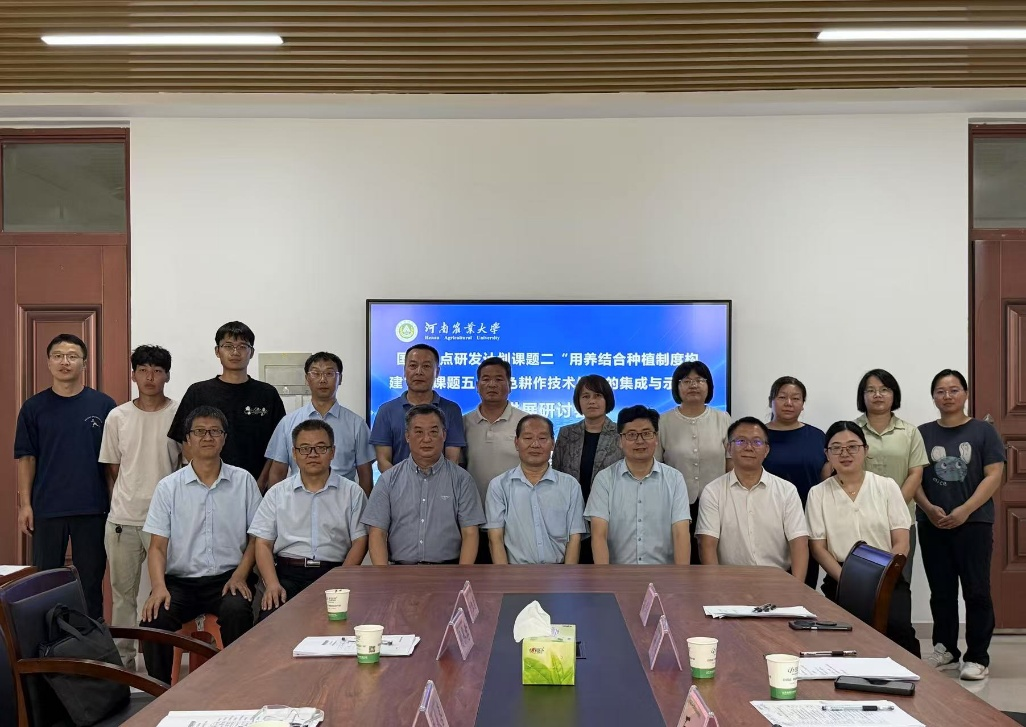 ���ֶ���������