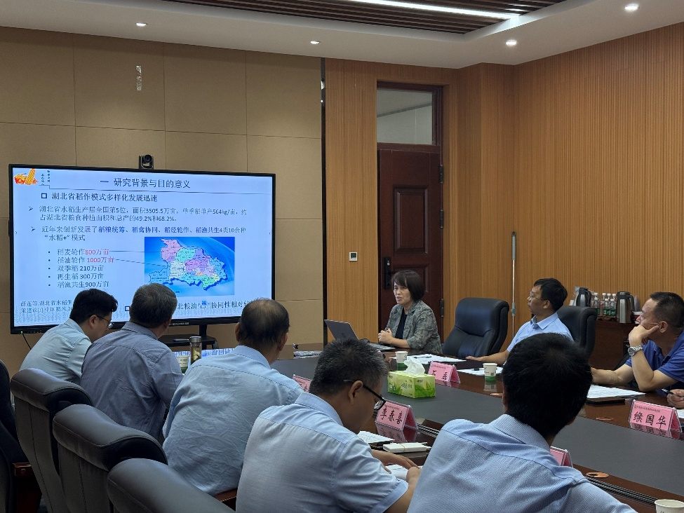 ���ֶ���������