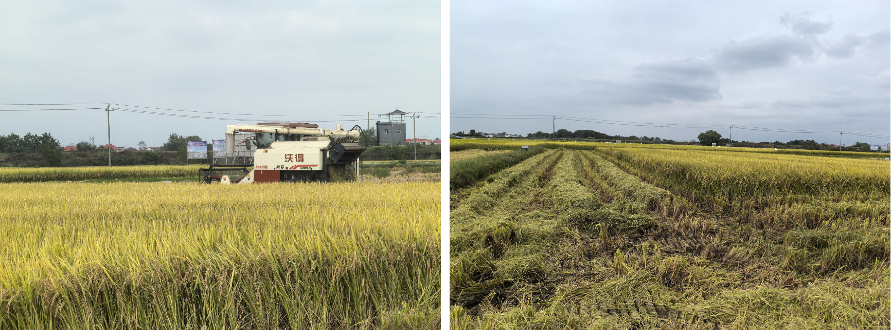 ���ֶ���������