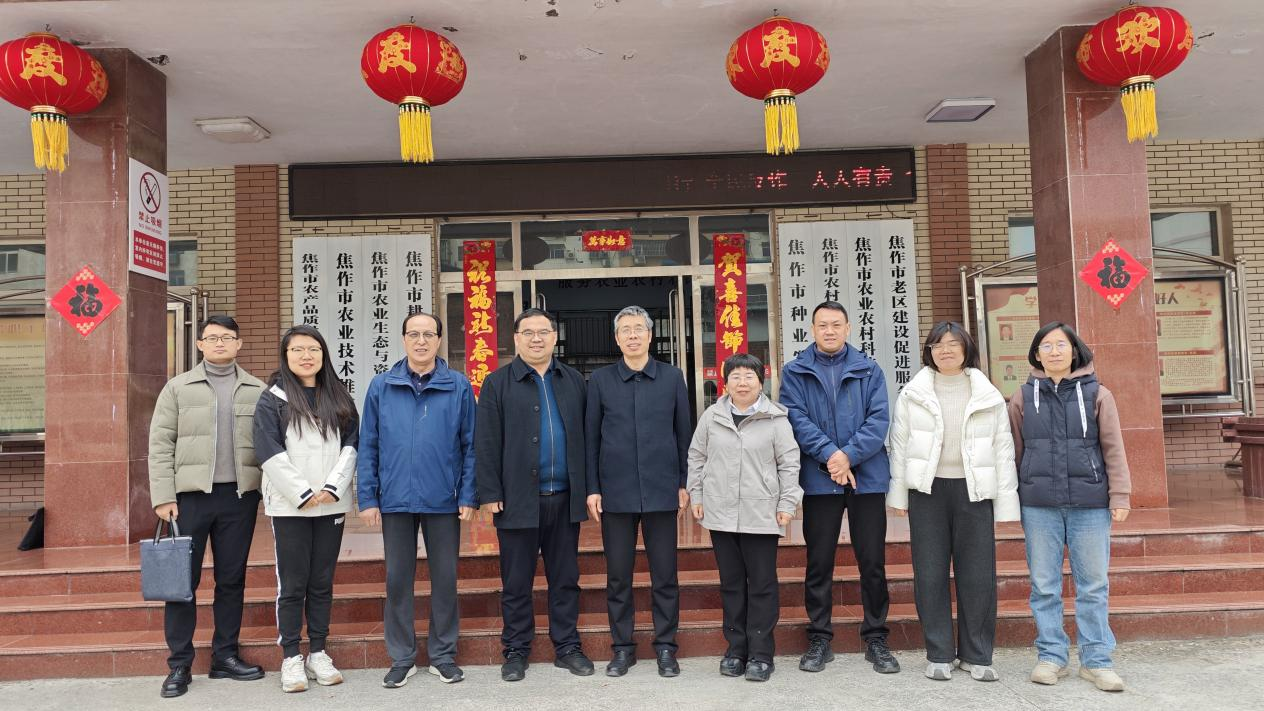 ���ֶ���������